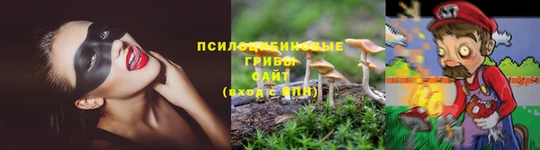 2c-b Аркадак