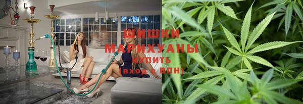 гашик Алексеевка